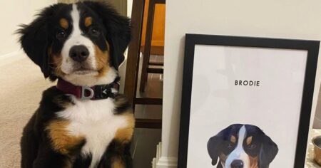 These Custom Pet Portraits Are the Perfect Meaningful Gift for Pet Lovers — Get 15% Off