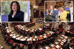 NY state Senate approves doctor-assisted suicide bill, sends it to Hochul’s desk for approval