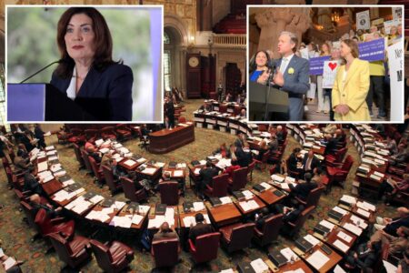 NY state Senate approves doctor-assisted suicide bill, sends it to Hochul’s desk for approval