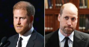 Breaking Down Which Stars Have Shown Support for Prince William or Harry: Who’s In Their Corner?