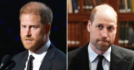 Breaking Down Which Stars Have Shown Support for Prince William or Harry: Who’s In Their Corner?