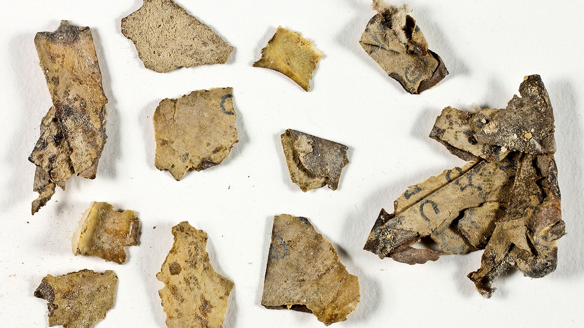 Dead Sea Scroll fragment