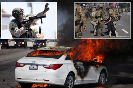 Feds mobilize the National Guard as riots over immigration raids wreak havoc on Los Angeles