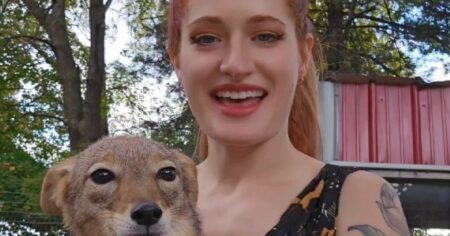 Popular Fox Rescue YouTuber Mikayla Raines Dies by Suicide After Online Bullying, Husband Says