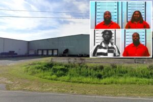 Group of thieves steal .6 million worth of CBD oil from Georgia facility: cops