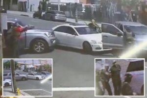 Feds ram car to catch ‘violent’ anti-ICE rioter in LA after alleged attack on border agent, wild video shows