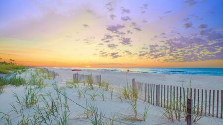 Serene southern vacation town reports 2nd shark attack of summer amid heavy tourist traffic