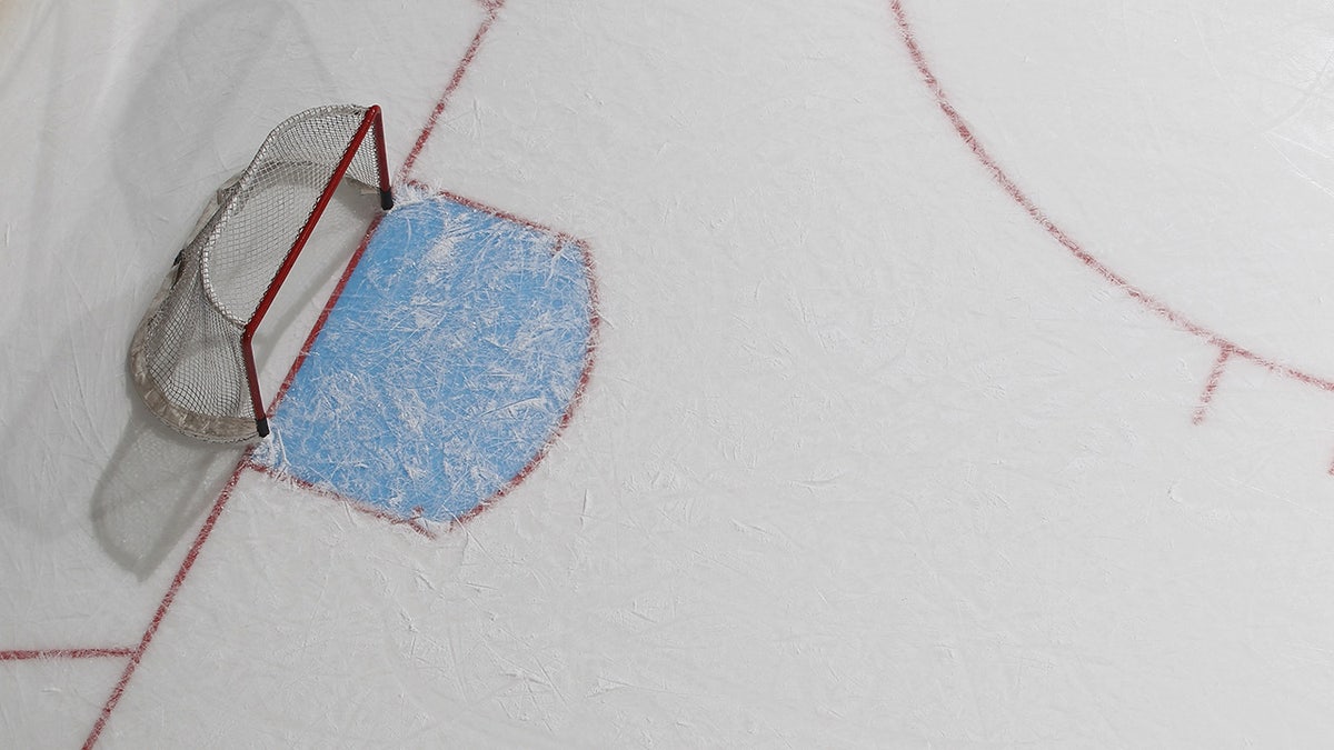 The net on the hockey rink