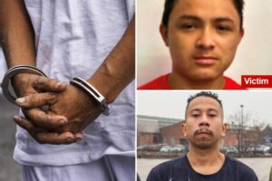 MS-13 migrants slaughtered members of their own gang on Long Island for being ‘disloyal:’ federal prosecutors