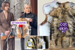 Shoppers horrified after learning ‘sheepskin’ vest actually made of cats