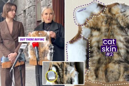 Shoppers horrified after learning ‘sheepskin’ vest actually made of cats