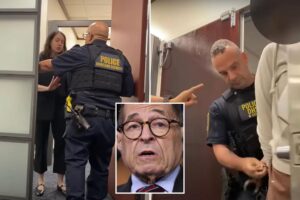 Dem Rep. Nadler aide detained by DHS agents in Manhattan office