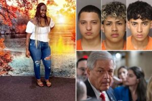 Americans at risk ‘anywhere’ after 6 illegal immigrants are charged in mother’s murder: congressman
