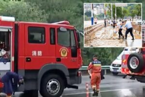 Horrifying moment truck driver dangles over collapsed bridge: ‘lucky to be alive’