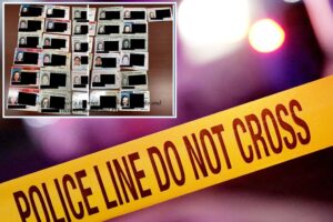 Fraudster who carried around ‘bedazzled’ gun sentenced to hard time over identity theft ring conviction