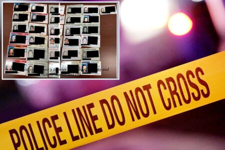 Fraudster who carried around ‘bedazzled’ gun sentenced to hard time over identity theft ring conviction