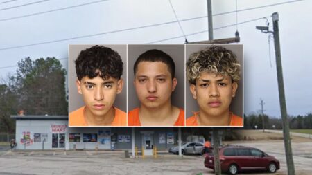 Six migrants charged in SC mom’s murder detailed crime in eerie messages: ‘Just the beginning’