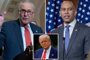 Vast majority of Americans don’t see Dems as a party with strong leaders that get stuff done: CNN poll