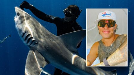 Diver who freed sharks gets Trump pardon after felony conviction stuns him: ‘My heart sank’