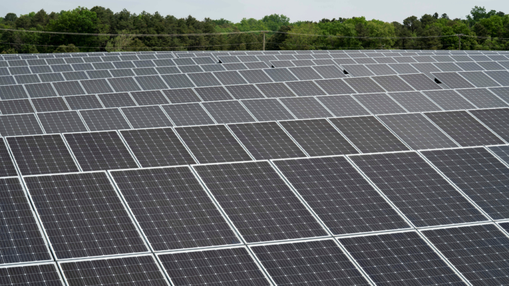 Chinese-made solar panels used on American farms puts US power grid at risk: former NSA official