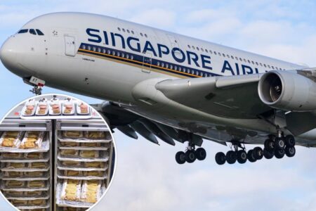 ‘Violently ill’: US doctor sues Singapore Airlines following shellfish reaction that prompted emergency landing