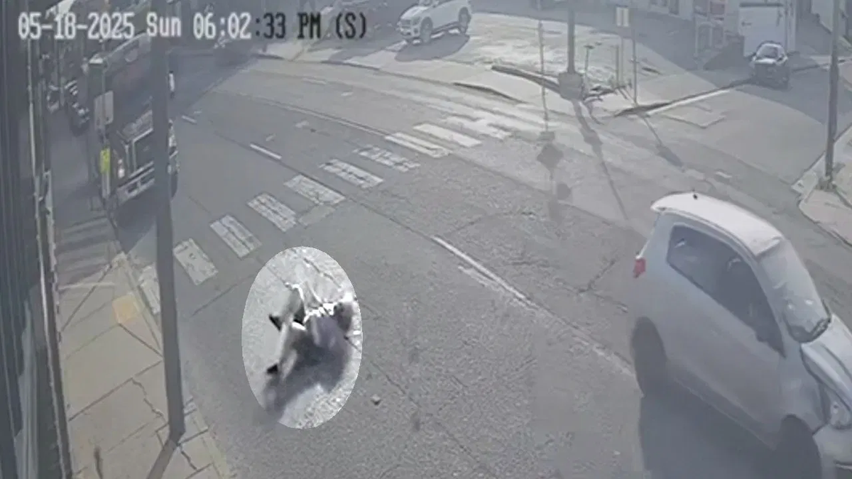 Nashville Hit and run suspect sought