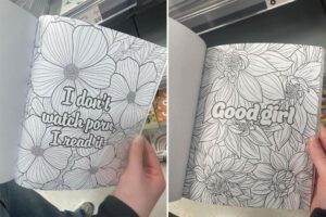 Shoppers confused and shocked by NSFW coloring book