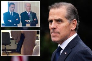 Hunter Biden begged DNC to pay his legal fees for tax, gun cases: new book