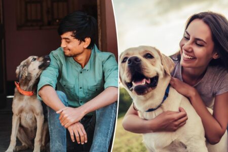 Shocking number of pet owners would date AI versions of their animals, study reveals