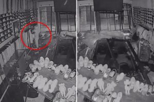 Hooded thief plows stolen car into Arizona shop before making off with designer clothes, wild video shows
