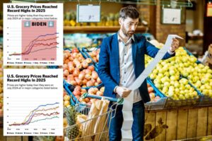 Democratic Party tries to pin ‘record high’ 2025 grocery prices on Trump – but it completely backfires