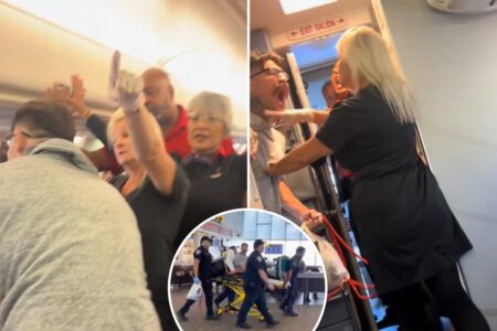 Pro-fighter goes ballistic on a Southwest flight — then gets escorted out on a stretcher: ‘This is bulls—t!’