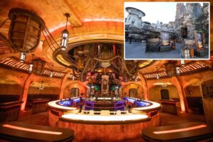 I was turned away at a Disneyland bar — the reason why is frustrating and could affect other visitors