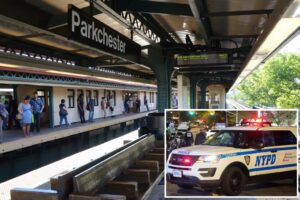Postal worker allegedly sent threats to NYPD cop after subway pepper spray summons: sources