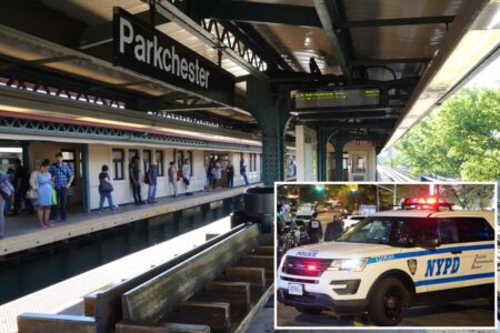 Postal worker allegedly sent threats to NYPD cop after subway pepper spray summons: sources