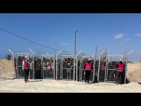 US contractors claim colleagues fired live rounds at Palestinians seeking aid in Gaza