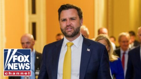 VP Vance reveals congressman’s text from House floor