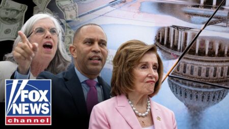‘HUNGRY for attention’: Dems have ‘big, beautiful meltdown’