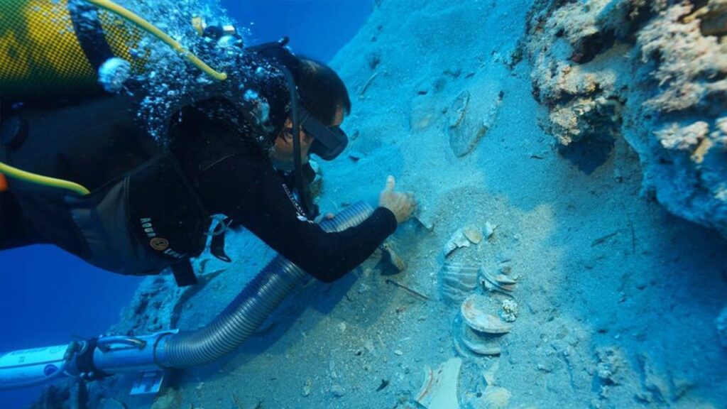 Divers discover 2,000-year-old shipwreck loaded with pristine ancient ceramics: ‘Extremely valuable’