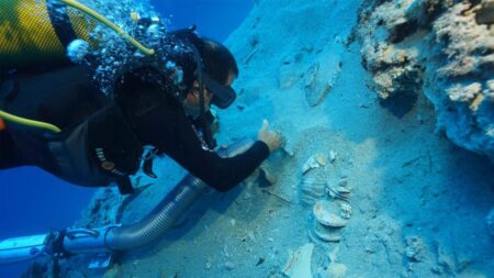 Divers discover 2,000-year-old shipwreck loaded with pristine ancient ceramics: ‘Extremely valuable’