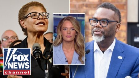 ‘SPINELESS’ sanctuary city mayors: ‘FLOOD THE ZONE’