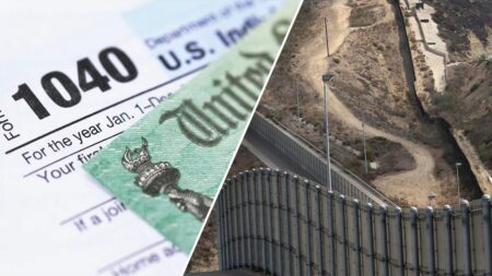 California tax expert admits role in illegal alien’s multimillion-dollar fraud scheme