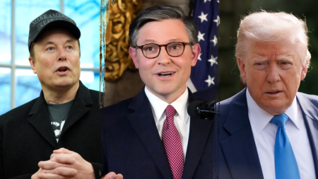 Speaker Johnson reveals Musk left MAGA ally’s lengthy text hanging in ‘the ether’ after Trump blowup