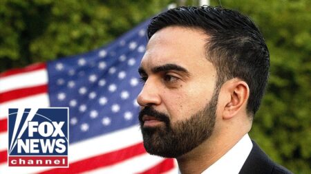 Dana Loesch believes Dems are ‘using’ Mamdani