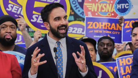 Mamdani-mentum: Who are the other socialist candidates soaring among Democrats