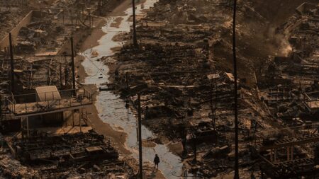 California wildfire victims face uphill battle as corporations and investors swoop in