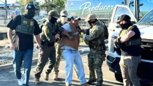 Border Patrol says some illegal migrants arrested in Sacramento raid had criminal histories