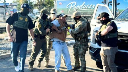 Border Patrol says some illegal migrants arrested in Sacramento raid had criminal histories