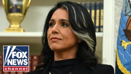 ‘Should be in jail!’: Hosts sound OFF on Gabbard’s bombshell DNI report