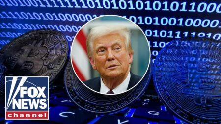 ‘CRYPTO CAPITAL’: How the US is ‘just getting started’